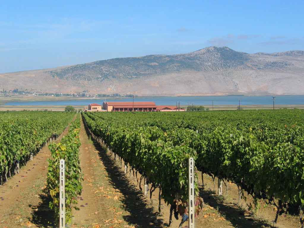 Alpha Estate Ecosystem White Sauvignon Blanc Fume Single Block ''Kaliva'' 750ml 13,5%
